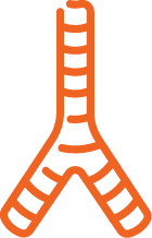 Swallowing Icon